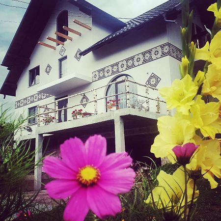 Casa Aureliana Vila Ciocanesti Exterior foto