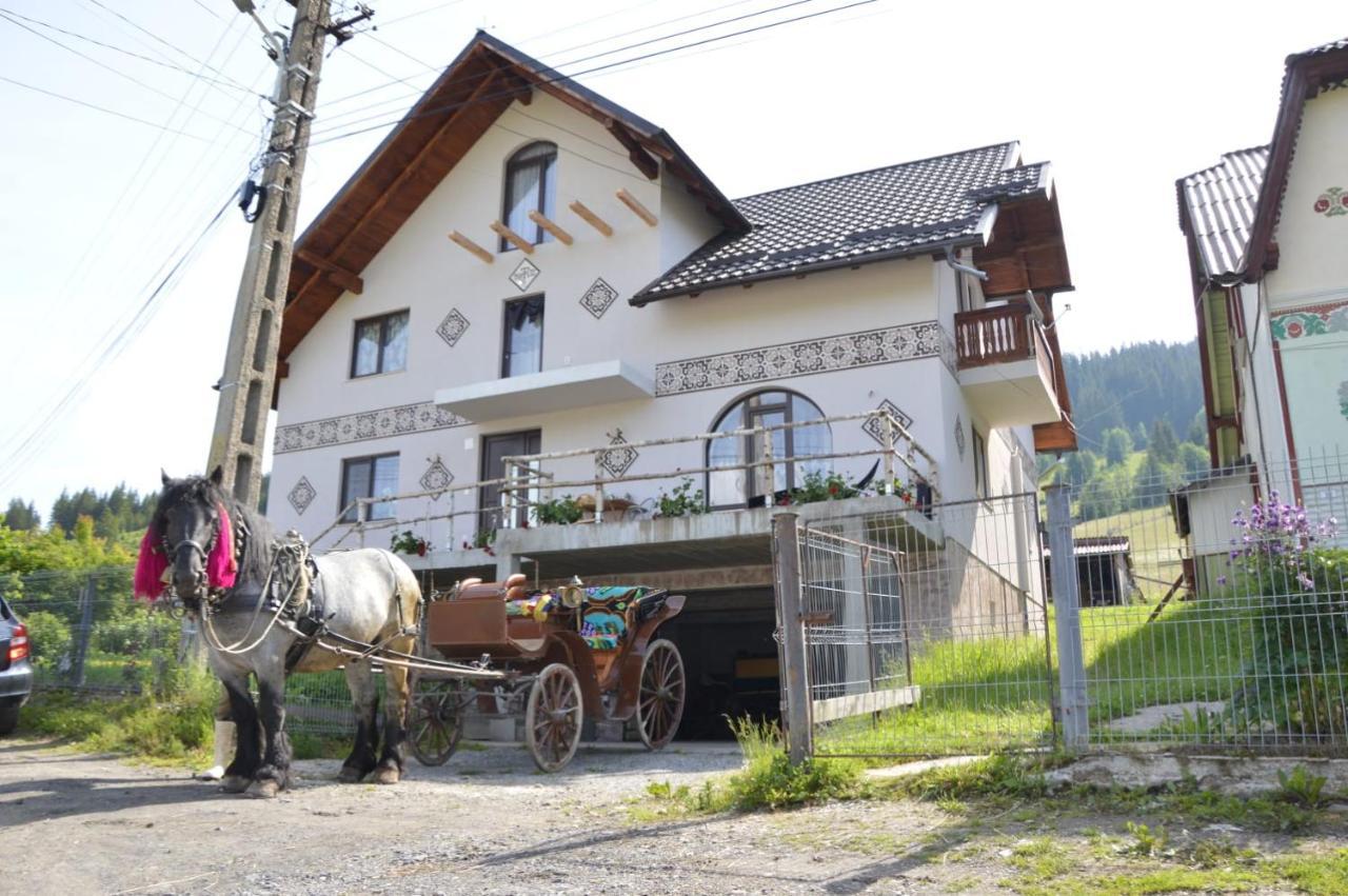 Casa Aureliana Vila Ciocanesti Exterior foto