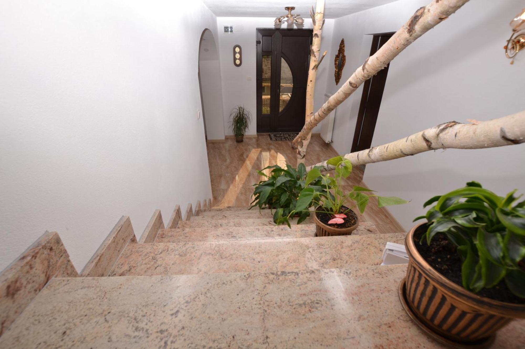 Casa Aureliana Vila Ciocanesti Exterior foto